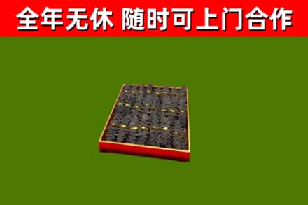 崖州回收海参